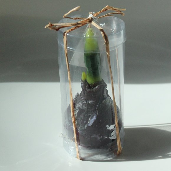 [D&T] "Rosemary & Time" Realistic Flower Bulb Candle - Picture 1 of 9